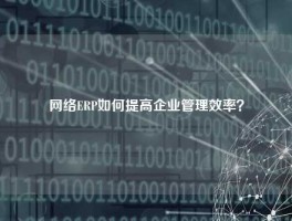 网络ERP如何提高企业管理效率？