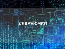 云简业财SSO公司代码