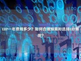 ERP一年费用多少？如何合理预算和选择ERP系统？