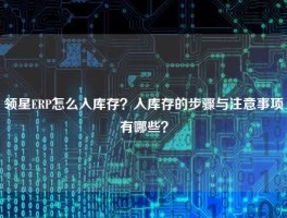 领星ERP怎么入库存？入库存的步骤与注意事项有哪些？