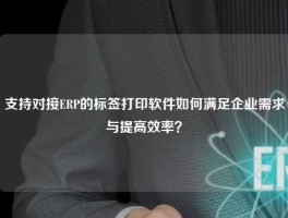 支持对接ERP的标签打印软件如何满足企业需求与提高效率？