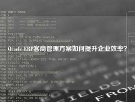 Oracle ERP客商管理方案如何提升企业效率？