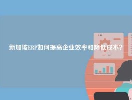 新加坡ERP如何提高企业效率和降低成本？