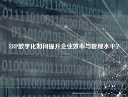 ERP数字化如何提升企业效率与管理水平？