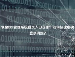 领星ERP管理系统登录入口在哪？如何快速解决登录问题？