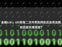 金蝶K3Wise ERP系统二次开发如何优化业务流程和信息处理流程？