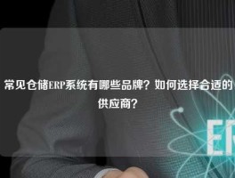 常见仓储ERP系统有哪些品牌？如何选择合适的供应商？