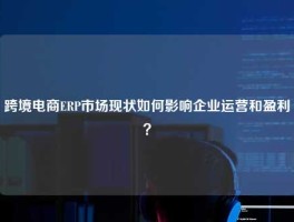 跨境电商ERP市场现状如何影响企业运营和盈利？