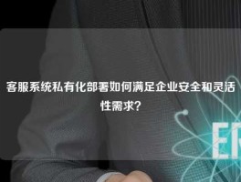 客服系统私有化部署如何满足企业安全和灵活性需求？
