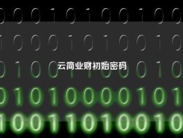 云简业财初始密码