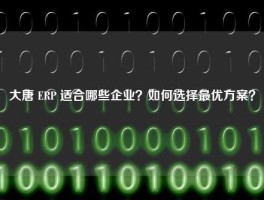 大唐 ERP 适合哪些企业？如何选择最优方案？