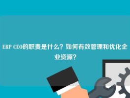 ERP CEO的职责是什么？如何有效管理和优化企业资源？