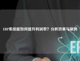 ERP系统能如何提升利润率？分析效果与案例