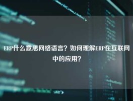 ERP什么意思网络语言？如何理解ERP在互联网中的应用？