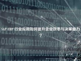 SAP ERP 行业应用如何提升企业效率与决策能力？