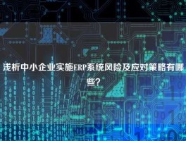 浅析中小企业实施ERP系统风险及应对策略有哪些？