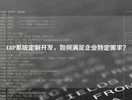 ERP系统定制开发，如何满足企业特定需求？
