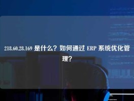 218.60.28.169 是什么？如何通过 ERP 系统优化管理？