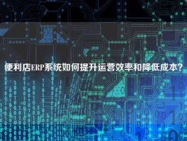 便利店ERP系统如何提升运营效率和降低成本？