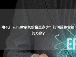 电机厂SAP ERP系统价格是多少？如何选择合适的方案？