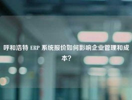 呼和浩特 ERP 系统报价如何影响企业管理和成本？
