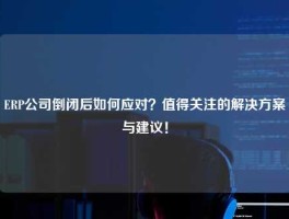ERP公司倒闭后如何应对？值得关注的解决方案与建议！