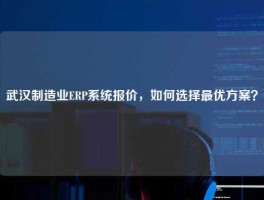 武汉制造业ERP系统报价，如何选择最优方案？
