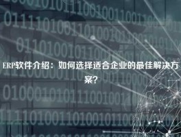 ERP软件介绍：如何选择适合企业的最佳解决方案？