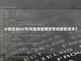 小微企业ERP如何提高管理效率和降低成本？
