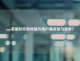 app客服软件如何提升用户满意度与效率？
