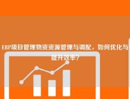 ERP项目管理物资资源管理与调配，如何优化与提升效率？
