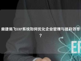 鼎捷易飞ERP系统如何优化企业管理与提升效率？