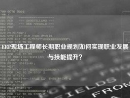 ERP现场工程师长期职业规划如何实现职业发展与技能提升？