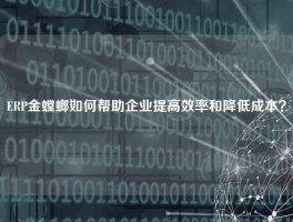 ERP金螳螂如何帮助企业提高效率和降低成本？