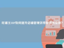 旺铺王ERP如何提升店铺管理效率和销售业绩？