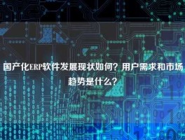 国产化ERP软件发展现状如何？用户需求和市场趋势是什么？