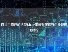 四川口碑好的铝型材ERP系统如何提升企业管理效率？