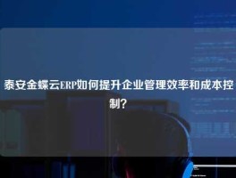 泰安金蝶云ERP如何提升企业管理效率和成本控制？