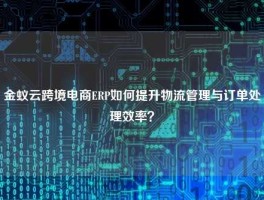 金蚁云跨境电商ERP如何提升物流管理与订单处理效率？