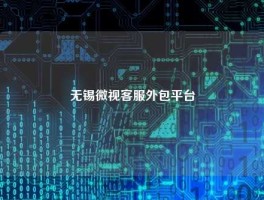 无锡微视客服外包平台