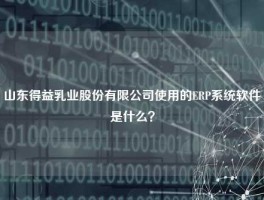 山东得益乳业股份有限公司使用的ERP系统软件是什么？