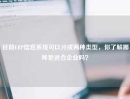 目前ERP信息系统可以分成两种类型，你了解哪种更适合企业吗？
