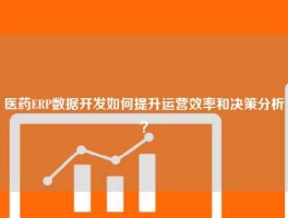 医药ERP数据开发如何提升运营效率和决策分析？