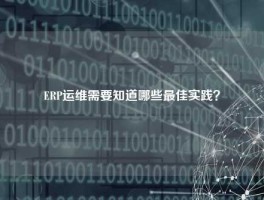 ERP运维需要知道哪些最佳实践？