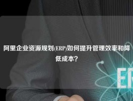 阿里企业资源规划(ERP)如何提升管理效率和降低成本？
