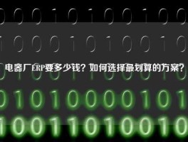 电器厂ERP要多少钱？如何选择最划算的方案？