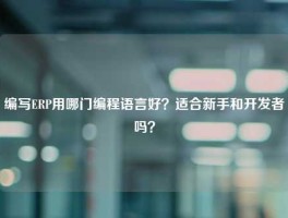 编写ERP用哪门编程语言好？适合新手和开发者吗？