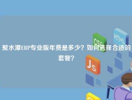 聚水潭ERP专业版年费是多少？如何选择合适的套餐？