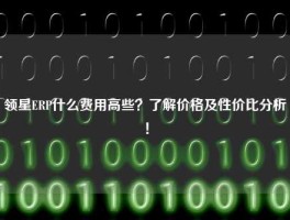 领星ERP什么费用高些？了解价格及性价比分析！