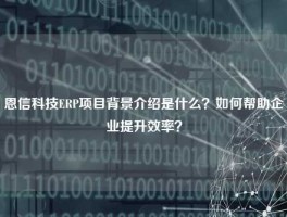 恩信科技ERP项目背景介绍是什么？如何帮助企业提升效率？